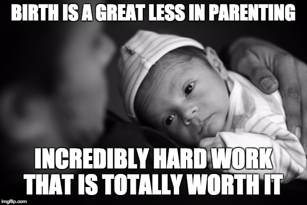 BIRTH IS A GREAT LESS IN PARENTING; INCREDIBLY HARD WORK THAT IS TOTALLY WORTH IT | made w/ Imgflip meme maker