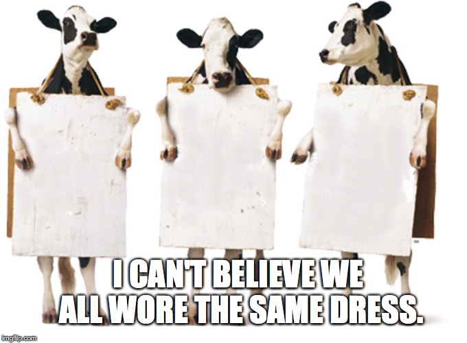 Chick-fil-A 3-cow billboard |  I CAN'T BELIEVE WE ALL WORE THE SAME DRESS. | image tagged in chick-fil-a 3-cow billboard | made w/ Imgflip meme maker