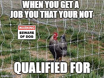 Getting a job. | WHEN YOU GET A JOB YOU THAT YOUR NOT; QUALIFIED FOR | image tagged in job,beware of the dog,chicken | made w/ Imgflip meme maker
