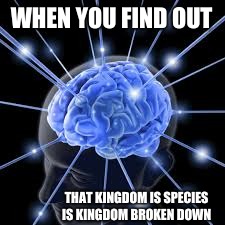 WHEN YOU FIND OUT; THAT KINGDOM IS SPECIES IS KINGDOM BROKEN DOWN | image tagged in minds | made w/ Imgflip meme maker