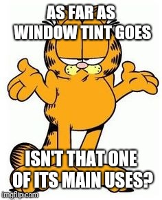 Garfield shrug | AS FAR AS WINDOW TINT GOES ISN'T THAT ONE OF ITS MAIN USES? | image tagged in garfield shrug | made w/ Imgflip meme maker