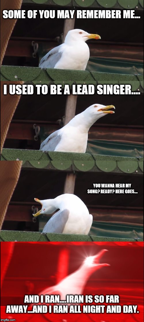 Inhaling Seagull | SOME OF YOU MAY REMEMBER ME... I USED TO BE A LEAD SINGER.... YOU WANNA HEAR MY SONG? READY? HERE GOES.... AND I RAN....IRAN IS SO FAR AWAY...AND I RAN ALL NIGHT AND DAY. | image tagged in memes,inhaling seagull | made w/ Imgflip meme maker