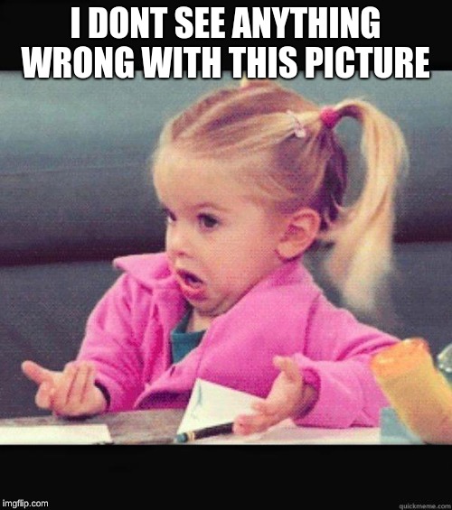 idk girl | I DON'T SEE ANYTHING WRONG WITH THIS PICTURE | image tagged in idk girl | made w/ Imgflip meme maker