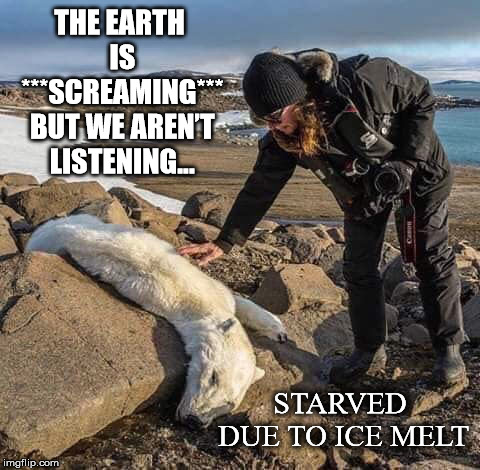 We Aren't... | THE EARTH IS ***SCREAMING*** BUT WE AREN’T LISTENING... STARVED DUE TO ICE MELT | image tagged in polar bear,starvation,ice melt,global warming,climate change,earth | made w/ Imgflip meme maker