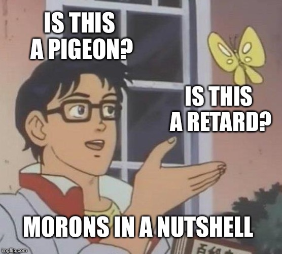 Is This A Pigeon Meme | IS THIS A PIGEON? IS THIS A RETARD? MORONS IN A NUTSHELL | image tagged in memes,is this a pigeon | made w/ Imgflip meme maker