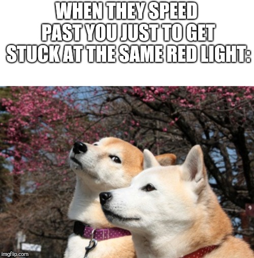 WHEN THEY SPEED PAST YOU JUST TO GET STUCK AT THE SAME RED LIGHT: | image tagged in smirk | made w/ Imgflip meme maker