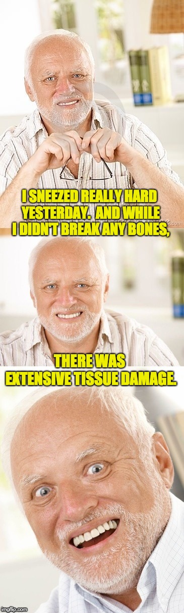 Hide the pun Harold | I SNEEZED REALLY HARD YESTERDAY.  AND WHILE I DIDN'T BREAK ANY BONES, THERE WAS EXTENSIVE TISSUE DAMAGE. | image tagged in hide the pun harold | made w/ Imgflip meme maker
