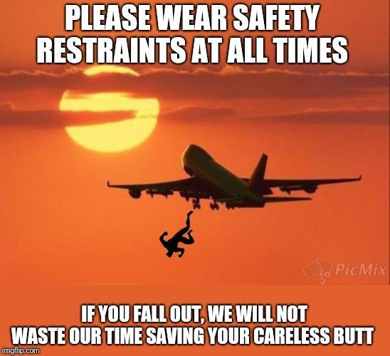 PLEASE WEAR SAFETY RESTRAINTS AT ALL TIMES IF YOU FALL OUT, WE WILL NOT WASTE OUR TIME SAVING YOUR CARELESS BUTT | made w/ Imgflip meme maker
