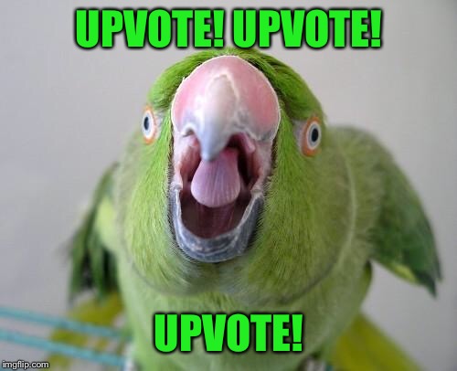 Parrot | UPVOTE! UPVOTE! UPVOTE! | image tagged in parrot | made w/ Imgflip meme maker