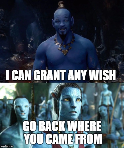 I CAN GRANT ANY WISH; GO BACK WHERE YOU CAME FROM | image tagged in avatar,genie,disney | made w/ Imgflip meme maker