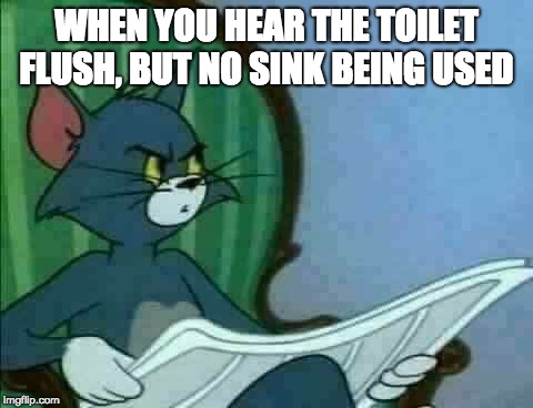 Tom Cat WTF | WHEN YOU HEAR THE TOILET FLUSH, BUT NO SINK BEING USED | image tagged in tom cat wtf | made w/ Imgflip meme maker