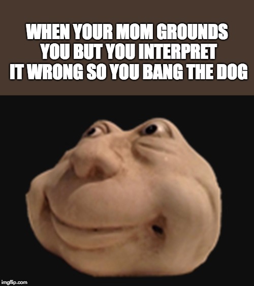 Happens all the time | WHEN YOUR MOM GROUNDS YOU BUT YOU INTERPRET IT WRONG SO YOU BANG THE DOG | image tagged in weird,mom,grounding,dark humor,dog,interpret | made w/ Imgflip meme maker