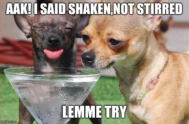 AAK! I SAID SHAKEN,NOT STIRRED; LEMME TRY | image tagged in have a drink | made w/ Imgflip meme maker