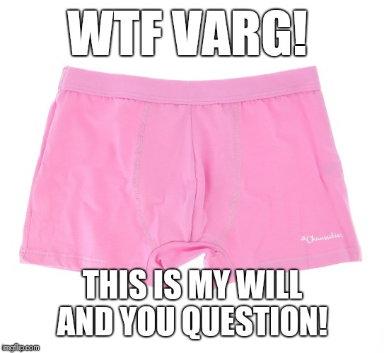 WTF VARG! THIS IS MY WILL AND YOU QUESTION! | image tagged in wtf varg | made w/ Imgflip meme maker