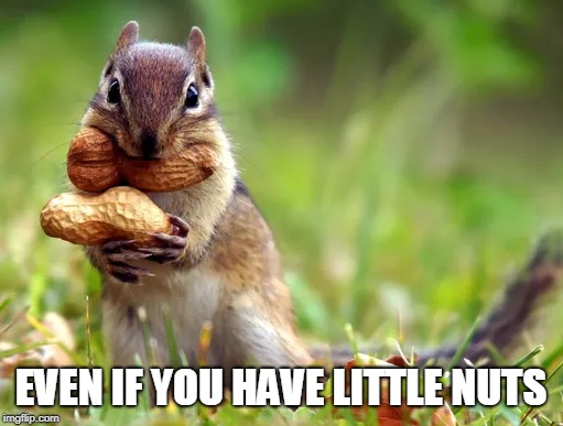 EVEN IF YOU HAVE LITTLE NUTS | made w/ Imgflip meme maker