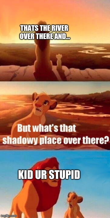 Simba Shadowy Place Meme | THATS THE RIVER OVER THERE AND... KID UR STUPID | image tagged in memes,simba shadowy place | made w/ Imgflip meme maker