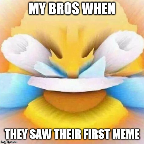 sad but tru | MY BROS WHEN; THEY SAW THEIR FIRST MEME | image tagged in screaming laughing emoji,sad,brothers | made w/ Imgflip meme maker