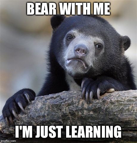 Confession Bear Meme | BEAR WITH ME; I'M JUST LEARNING | image tagged in memes,confession bear | made w/ Imgflip meme maker