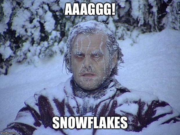 Jack Nicholson The Shining Snow | AAAGGG! SNOWFLAKES | image tagged in memes,jack nicholson the shining snow | made w/ Imgflip meme maker