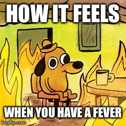 Dog in burning house | HOW IT FEELS; WHEN YOU HAVE A FEVER | image tagged in dog in burning house | made w/ Imgflip meme maker