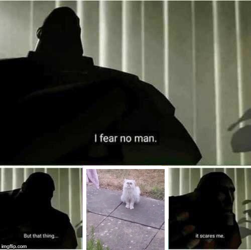 I fear no man. But that thing..it scares me | image tagged in i fear no man but that thingit scares me | made w/ Imgflip meme maker