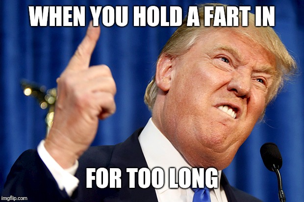 Donald Trump | WHEN YOU HOLD A FART IN; FOR TOO LONG | image tagged in donald trump | made w/ Imgflip meme maker