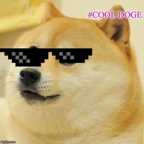 Doge Meme | #COOL DOGE | image tagged in memes,doge | made w/ Imgflip meme maker