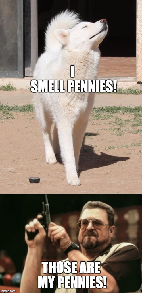 I smell... | I SMELL
PENNIES! THOSE ARE MY PENNIES! | image tagged in memes,am i the only one around here,you smell what the wolf is cooking | made w/ Imgflip meme maker