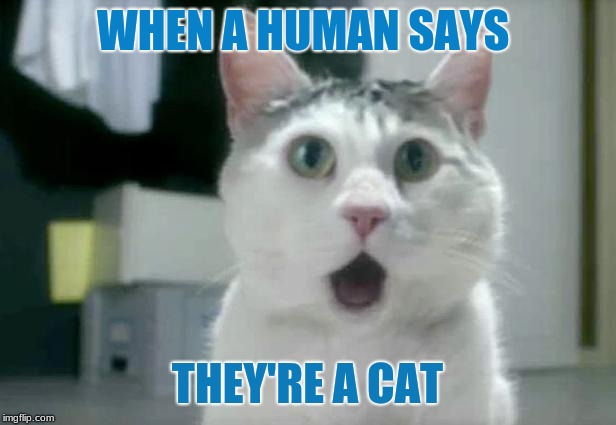 OMG Cat Meme | WHEN A HUMAN SAYS; THEY'RE A CAT | image tagged in memes,omg cat | made w/ Imgflip meme maker