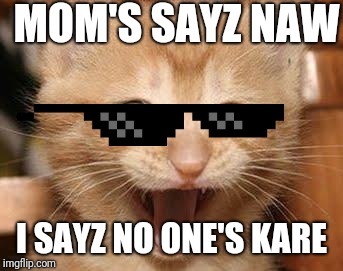 Excited Cat Meme | MOM'S SAYZ NAW; I SAYZ NO ONE'S KARE | image tagged in memes,excited cat | made w/ Imgflip meme maker