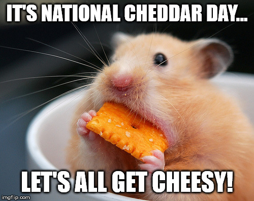 Cheese mouse | IT'S NATIONAL CHEDDAR DAY... LET'S ALL GET CHEESY! | image tagged in cheese mouse | made w/ Imgflip meme maker