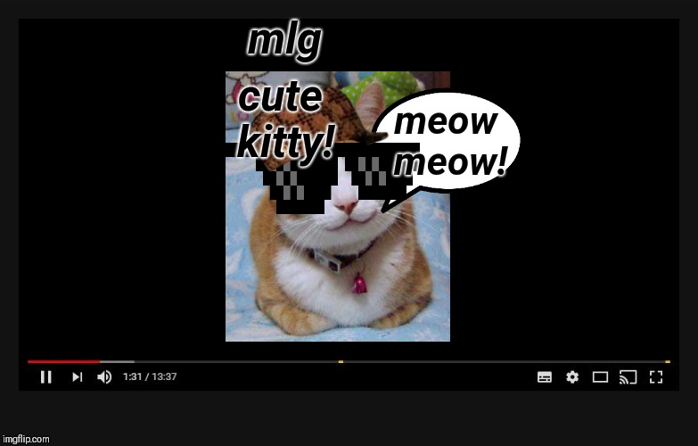 Youtube video screen | mlg; cute kitty! meow meow! | image tagged in youtube video screen | made w/ Imgflip meme maker
