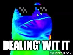 mlg frog | DEALING' WIT IT | image tagged in mlg frog | made w/ Imgflip meme maker