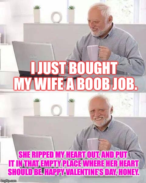 Boob jobs do not always buy happiness | I JUST BOUGHT MY WIFE A BOOB JOB. SHE RIPPED MY HEART OUT, AND PUT IT IN THAT EMPTY PLACE WHERE HER HEART SHOULD BE. HAPPY VALENTINE’S DAY, HONEY. | image tagged in memes,hide the pain harold,boobs,valentines day,heart,bad joke | made w/ Imgflip meme maker