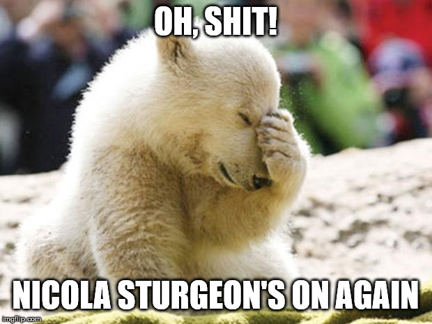 Sad Polar Bear | OH, SHIT! NICOLA STURGEON'S ON AGAIN | image tagged in sad polar bear | made w/ Imgflip meme maker