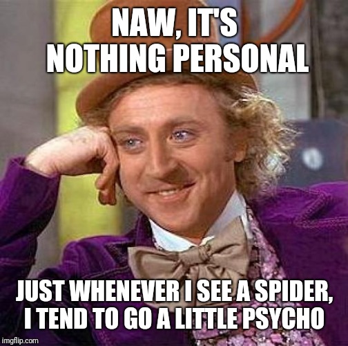 Creepy Condescending Wonka Meme | NAW, IT'S NOTHING PERSONAL JUST WHENEVER I SEE A SPIDER, I TEND TO GO A LITTLE PSYCHO | image tagged in memes,creepy condescending wonka | made w/ Imgflip meme maker