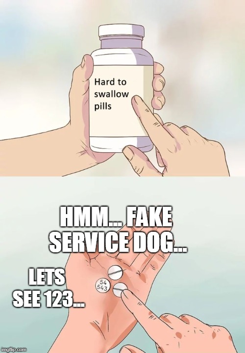 Hard To Swallow Pills Meme | HMM... FAKE SERVICE DOG... LETS SEE 123... | image tagged in memes,hard to swallow pills | made w/ Imgflip meme maker