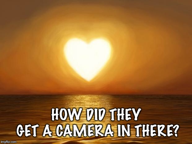Love | HOW DID THEY GET A CAMERA IN THERE? | image tagged in love | made w/ Imgflip meme maker