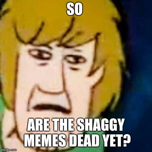 The Shaggy Memes | SO; ARE THE SHAGGY MEMES DEAD YET? | image tagged in shaggy meme | made w/ Imgflip meme maker