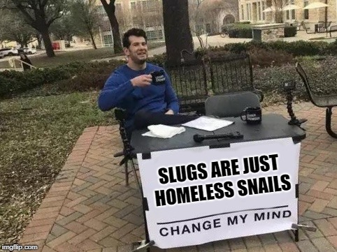 I wonder what it would look like if there was a breed of turtle with no shell | SLUGS ARE JUST HOMELESS SNAILS | image tagged in change my mind,snail,memes,funny,slug,homeless | made w/ Imgflip meme maker