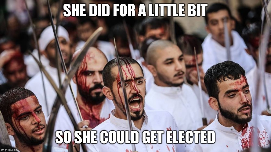 SHE DID FOR A LITTLE BIT SO SHE COULD GET ELECTED | made w/ Imgflip meme maker
