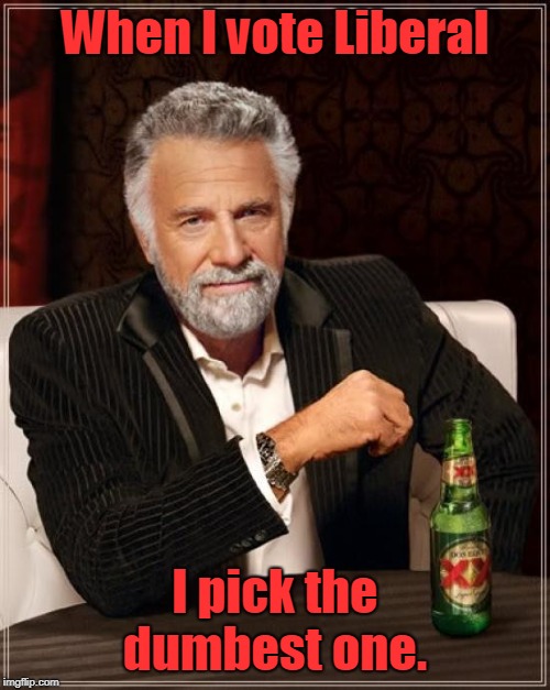 The Most Interesting Man In The World | When I vote Liberal; I pick the dumbest one. | image tagged in memes,the most interesting man in the world | made w/ Imgflip meme maker
