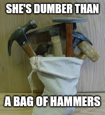 Bag of Hammers | SHE'S DUMBER THAN A BAG OF HAMMERS | image tagged in bag of hammers | made w/ Imgflip meme maker