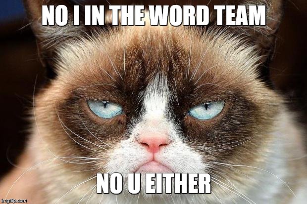 Grumpy Cat Not Amused Meme | NO I IN THE WORD TEAM NO U EITHER | image tagged in memes,grumpy cat not amused,grumpy cat | made w/ Imgflip meme maker