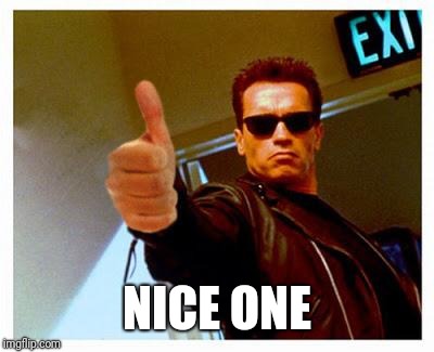 terminator thumbs up | NICE ONE | image tagged in terminator thumbs up | made w/ Imgflip meme maker