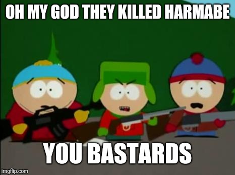 they killed kenny | OH MY GOD THEY KILLED HARMABE YOU BASTARDS | image tagged in they killed kenny | made w/ Imgflip meme maker