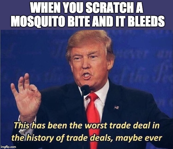 Donald Trump Worst Trade Deal | WHEN YOU SCRATCH A MOSQUITO BITE AND IT BLEEDS | image tagged in donald trump worst trade deal,mosquito,bleed,summer | made w/ Imgflip meme maker