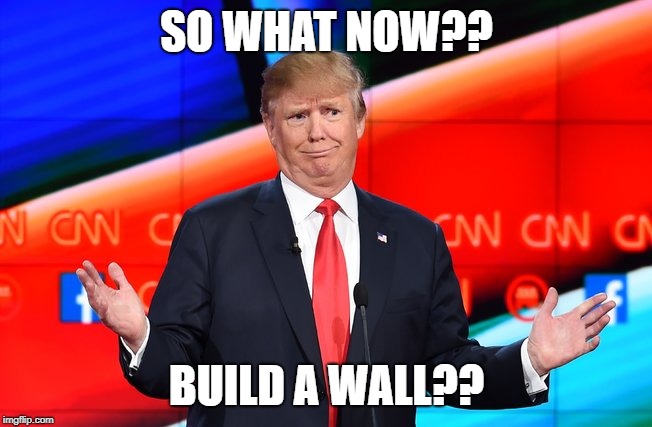 Donald Trump Confused | SO WHAT NOW?? BUILD A WALL?? | image tagged in donald trump confused | made w/ Imgflip meme maker