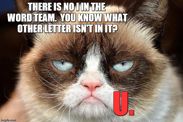 Grumpy Cat Not Amused | THERE IS NO I IN THE WORD TEAM.  YOU KNOW WHAT OTHER LETTER ISN'T IN IT? U. | image tagged in memes,grumpy cat not amused,grumpy cat,team,teamwork | made w/ Imgflip meme maker