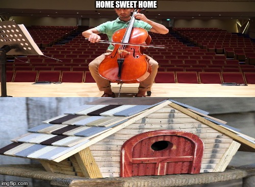 cockatoo | HOME SWEET HOME | image tagged in funny | made w/ Imgflip meme maker